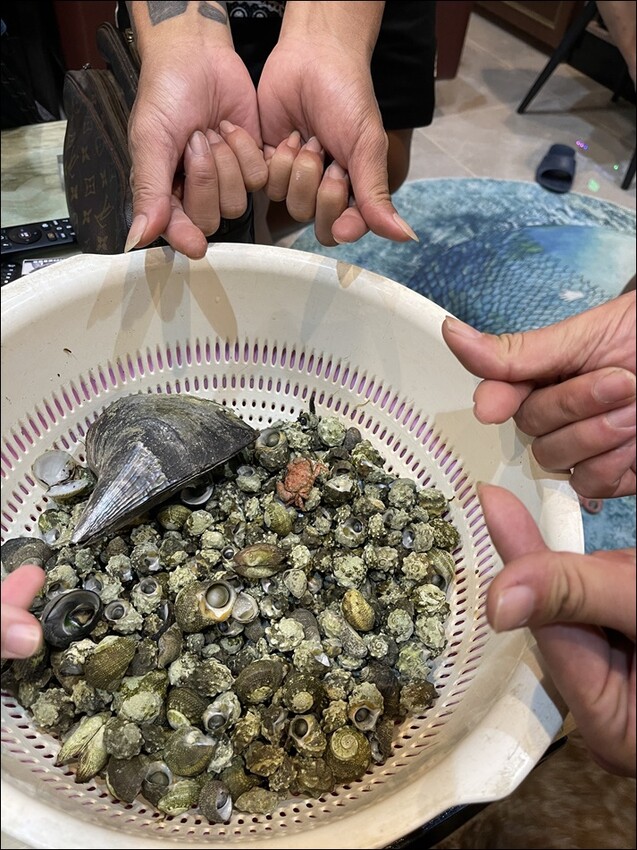 澎湖縣馬公市澎湖包棟民宿│親子民宿推薦：舞所蔚民宿