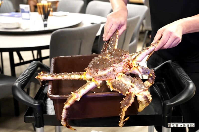 DSC04435.JPG DSC04435.JPG