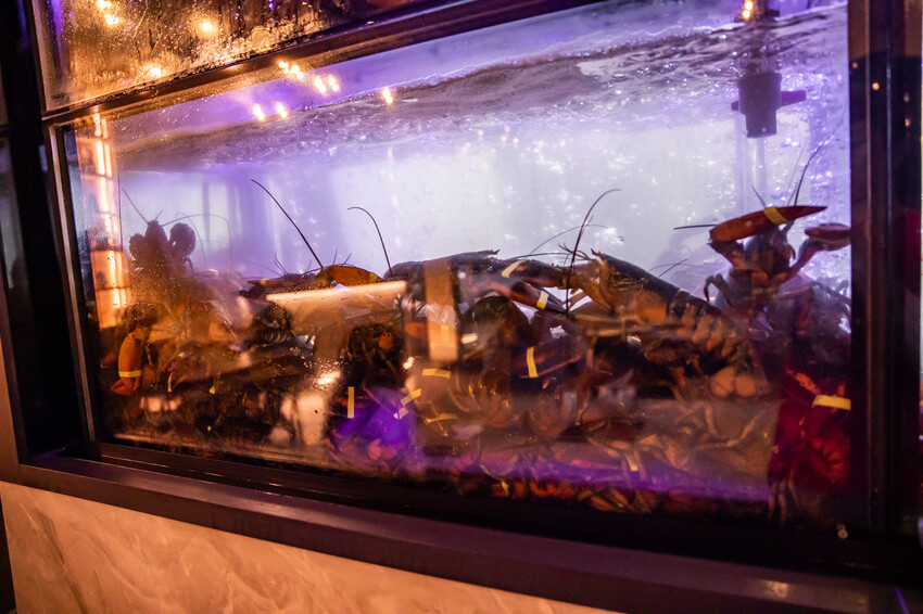 桃園市桃園區宗初食堂日式無菜單料理桃園店|最強日式無菜單料理強勢插旗桃園!活龍蝦、鮑魚等頂級食材十道無菜單料理只