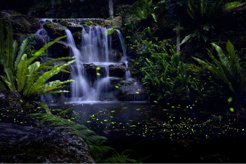 南洋62之森-闔家六人房-7 南洋62之森-闔家六人房-7