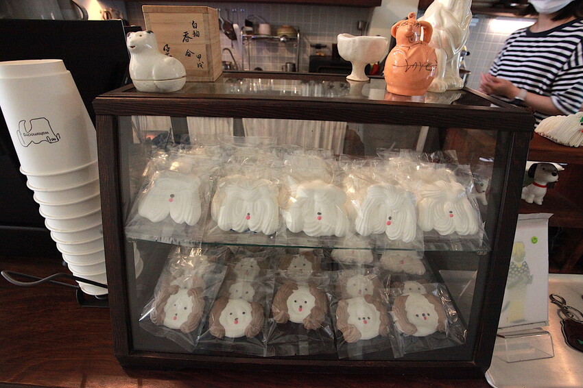 台南市中西區吃。台南市｜中西區。「Wakamodog」置身巷弄老宅寵物友善餐廳，全台灣最療癒狗狗主題咖啡廳，主打馬爾濟斯