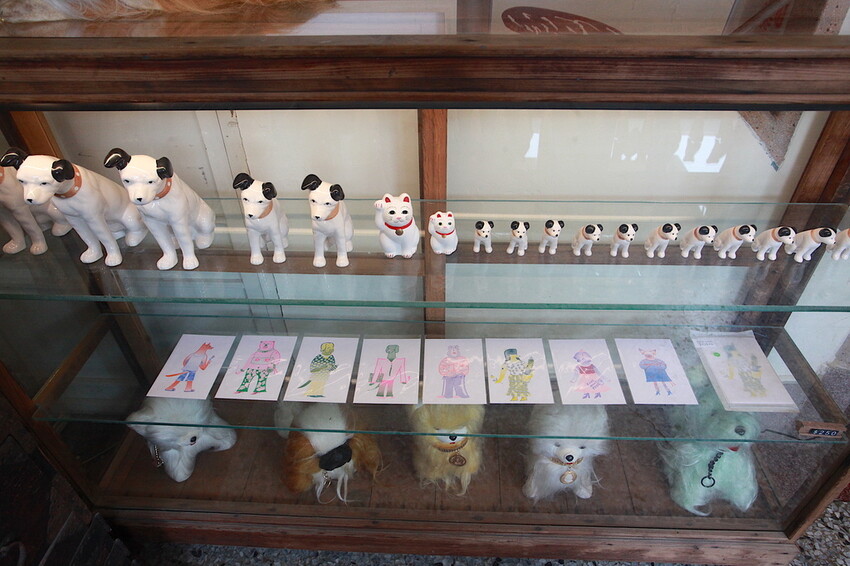 台南市中西區吃。台南市｜中西區。「Wakamodog」置身巷弄老宅寵物友善餐廳，全台灣最療癒狗狗主題咖啡廳，主打馬爾濟斯