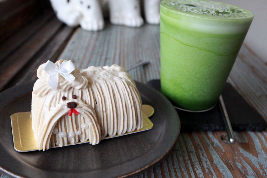 台南市中西區吃。台南市｜中西區。「Wakamodog」置身巷弄老宅寵物友善餐廳，全台灣最療癒狗狗主題咖啡廳，主打馬爾濟斯