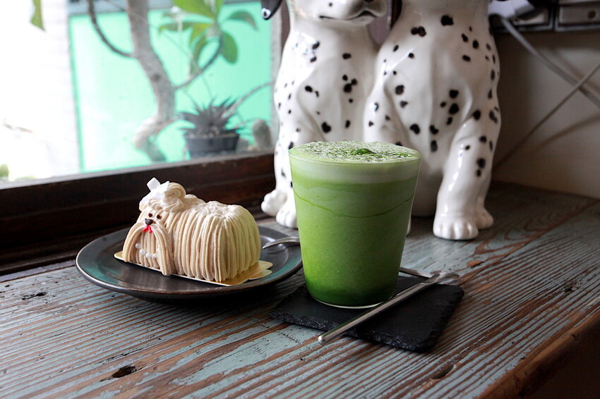 台南市中西區吃。台南市｜中西區。「Wakamodog」置身巷弄老宅寵物友善餐廳，全台灣最療癒狗狗主題咖啡廳，主打馬爾濟斯