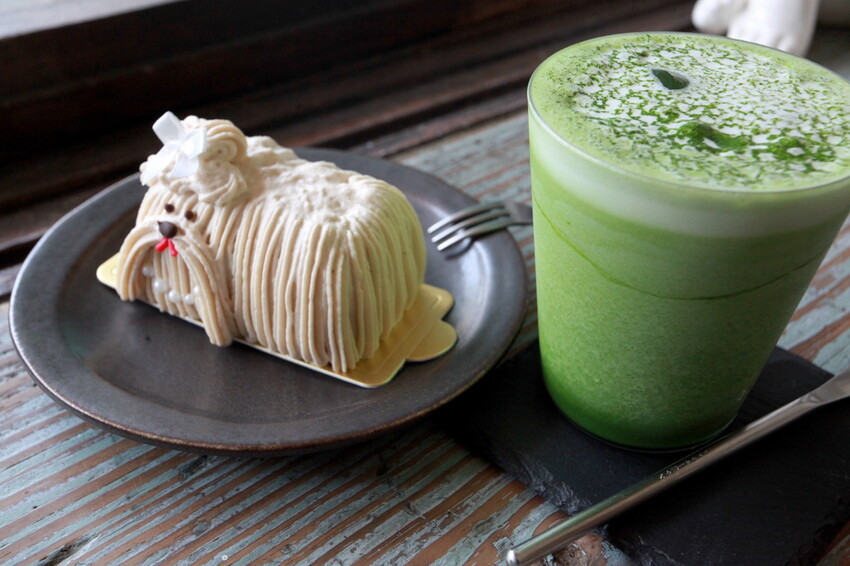 台南市中西區吃。台南市｜中西區。「Wakamodog」置身巷弄老宅寵物友善餐廳，全台灣最療癒狗狗主題咖啡廳，主打馬爾濟斯