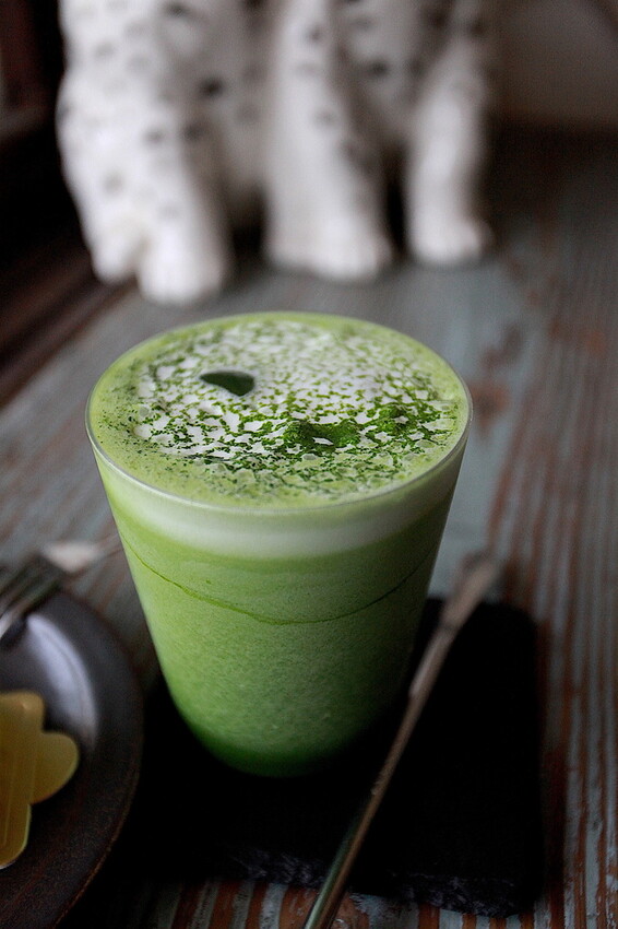 台南市中西區吃。台南市｜中西區。「Wakamodog」置身巷弄老宅寵物友善餐廳，全台灣最療癒狗狗主題咖啡廳，主打馬爾濟斯