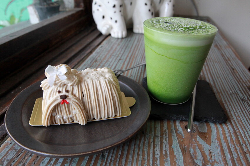 台南市中西區吃。台南市｜中西區。「Wakamodog」置身巷弄老宅寵物友善餐廳，全台灣最療癒狗狗主題咖啡廳，主打馬爾濟斯