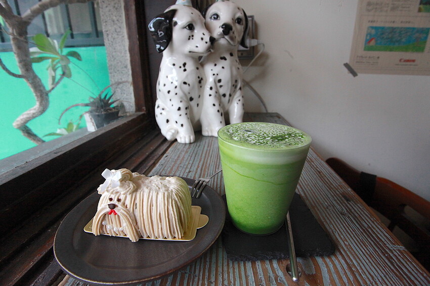 台南市中西區吃。台南市｜中西區。「Wakamodog」置身巷弄老宅寵物友善餐廳，全台灣最療癒狗狗主題咖啡廳，主打馬爾濟斯