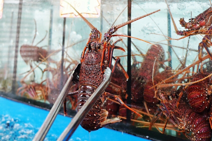 母親節帶家人來吃現撈海鮮！整桌9道有活龍蝦、石斑魚、超厚刺身、九孔沙拉..才4280元