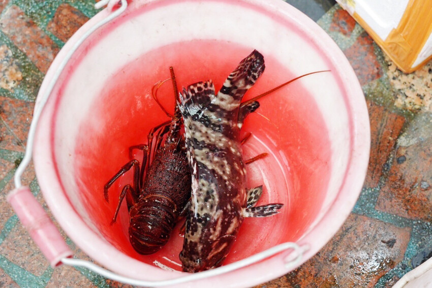 母親節帶家人來吃現撈海鮮！整桌9道有活龍蝦、石斑魚、超厚刺身、九孔沙拉..才4280元