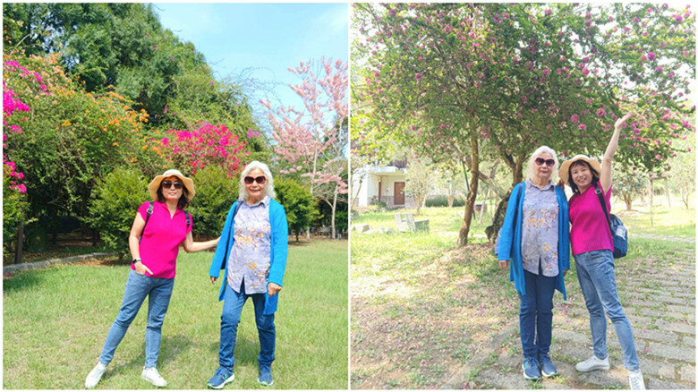 南投縣魚池鄉日月潭住宿｜御朝渡假村,4~5月螢火蟲季大爆發,一泊二食最划算