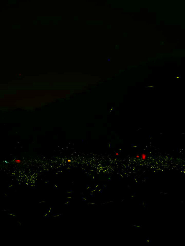 南投縣魚池鄉日月潭住宿｜御朝渡假村,4~5月螢火蟲季大爆發,一泊二食最划算