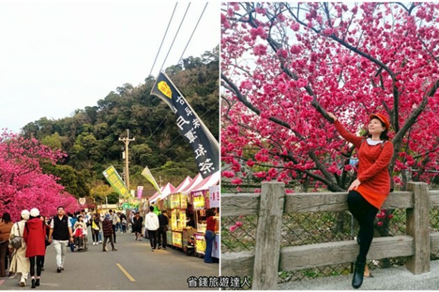 南投縣魚池鄉日月潭住宿｜御朝渡假村,4~5月螢火蟲季大爆發,一泊二食最划算