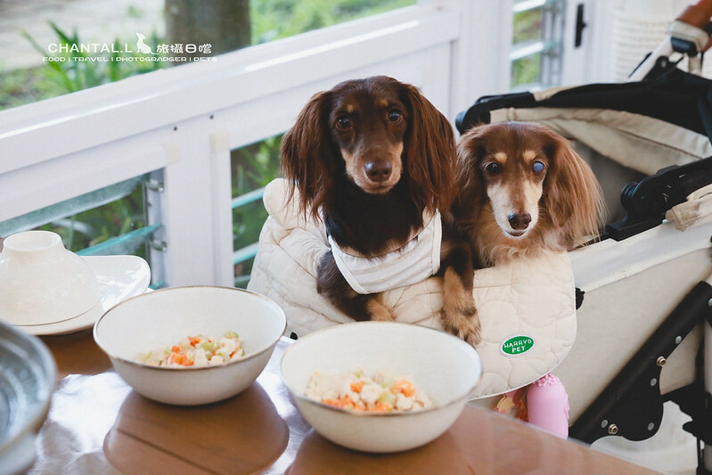 1J6A7749-2 拷貝 1J6A7749-2 拷貝