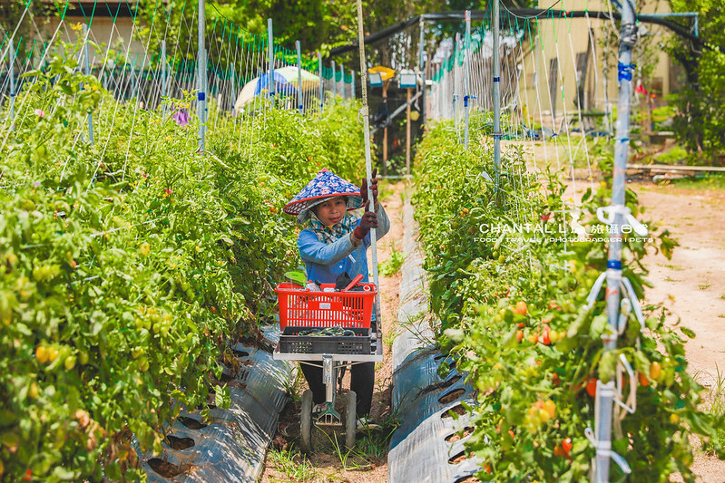 1J6A8422-2 拷貝 1J6A8422-2 拷貝