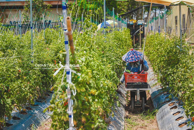 1J6A8423-2 拷貝 1J6A8423-2 拷貝