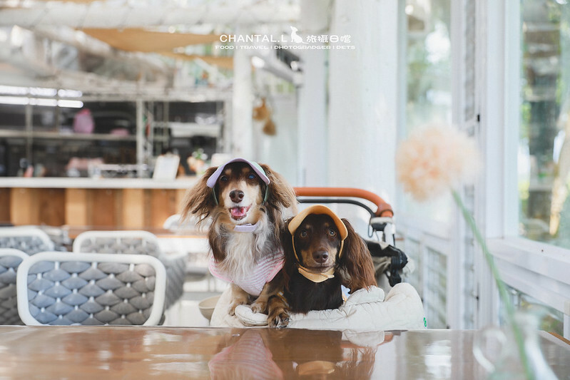 1J6A7362-2 拷貝 2 1J6A7362-2 拷貝 2