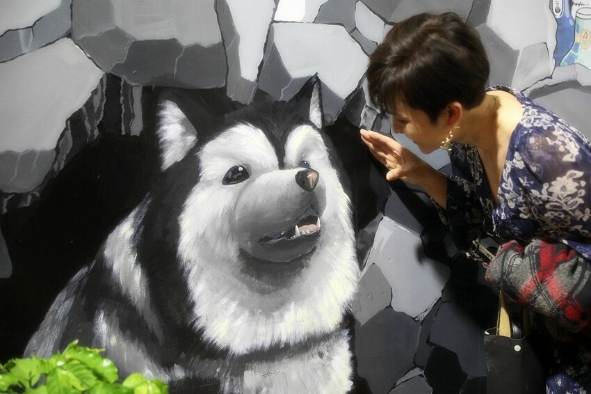 台南市北區酒鬼必訪!低調隱身巷弄寵物友善酒吧 美酒佳餚一次到味 週末微醺夜療癒又放鬆|集合Bar