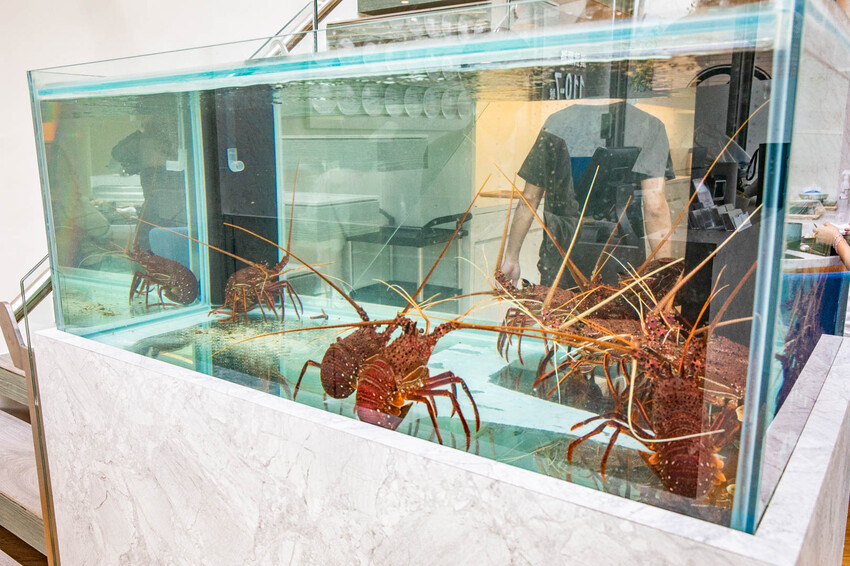 此生必嚐十大高CP值無菜單鐵板燒！不預約就吃不到，一位難求的無菜單鐵板燒插旗礁溪