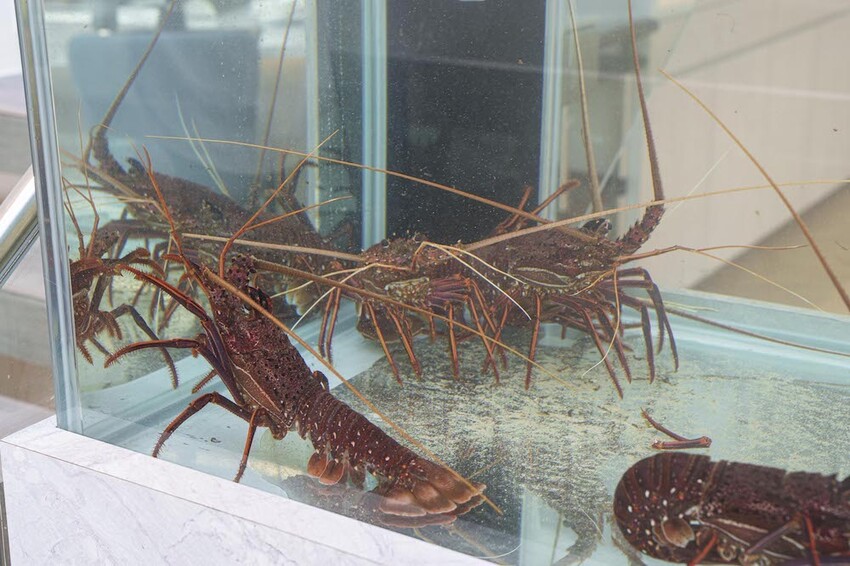 宜蘭最美無菜單鐵板燒|明水然.樂 宜蘭礁溪店,高CP值無菜單鐵板燒1600起活龍蝦 A5和牛 干貝 現流魚通通吃得到