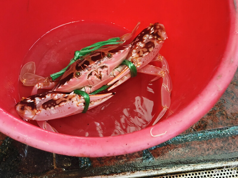 新北市萬里區鮮滿樓海鮮料理》萬里現撈海鮮！高檔帝王蟹、松葉蟹，單點.套餐.無菜單料理，停車方便近野柳風景區