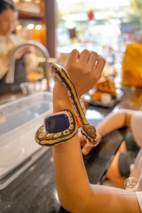 台中市北區台中特寵餐廳|爬咖啡CLIMB CAFE-喝咖啡放空，近距離和牛奶蛇、陸龜、守宮一起度過歡樂時光