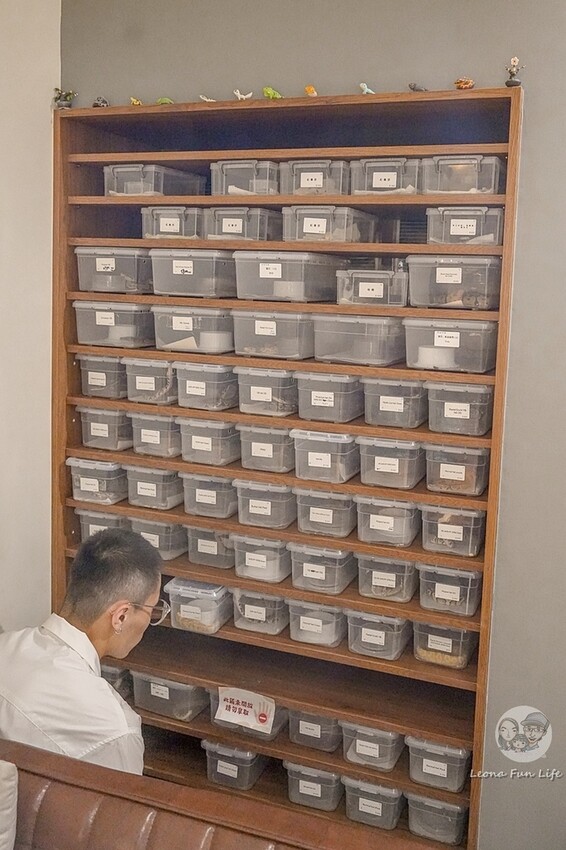 台中市北區台中特寵餐廳|爬咖啡CLIMB CAFE-喝咖啡放空，近距離和牛奶蛇、陸龜、守宮一起度過歡樂時光