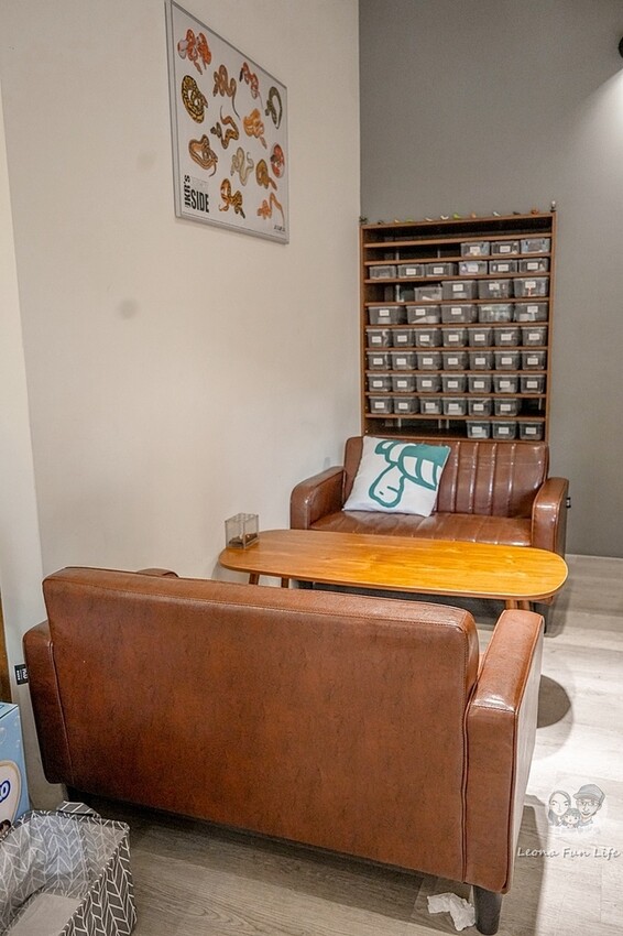 台中市北區台中特寵餐廳|爬咖啡CLIMB CAFE-喝咖啡放空，近距離和牛奶蛇、陸龜、守宮一起度過歡樂時光