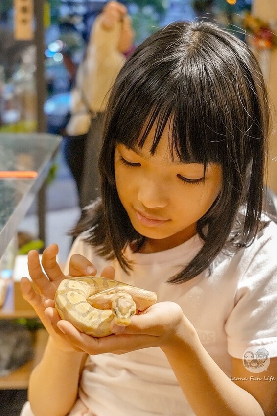 台中市北區台中特寵餐廳|爬咖啡CLIMB CAFE-喝咖啡放空，近距離和牛奶蛇、陸龜、守宮一起度過歡樂時光
