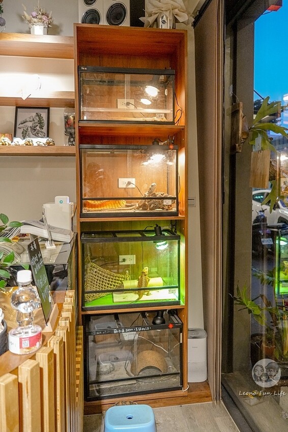 台中市北區台中特寵餐廳|爬咖啡CLIMB CAFE-喝咖啡放空，近距離和牛奶蛇、陸龜、守宮一起度過歡樂時光