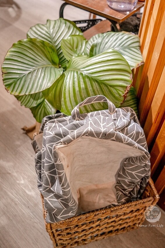 台中市北區台中特寵餐廳|爬咖啡CLIMB CAFE-喝咖啡放空，近距離和牛奶蛇、陸龜、守宮一起度過歡樂時光