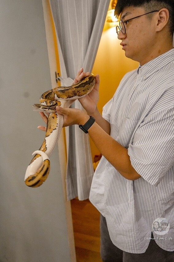 台中市北區台中特寵餐廳|爬咖啡CLIMB CAFE-喝咖啡放空，近距離和牛奶蛇、陸龜、守宮一起度過歡樂時光