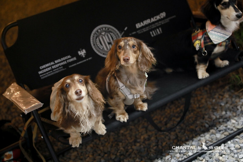 1J6A6625-2拷貝-2拷貝 拷貝