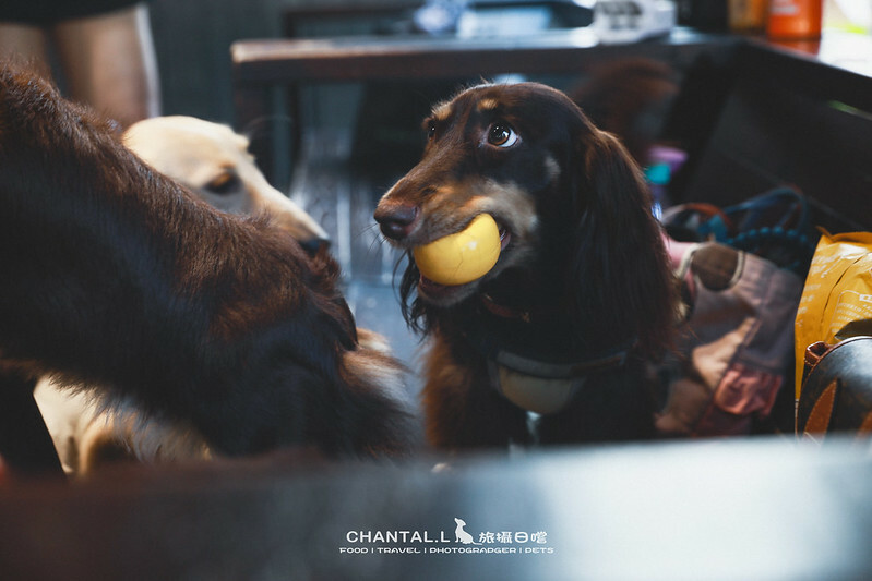 1J6A5898-2拷貝2 拷貝