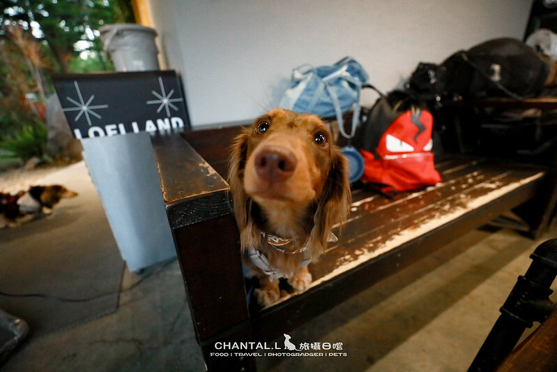 1J6A6129-2拷貝-2拷貝 拷貝