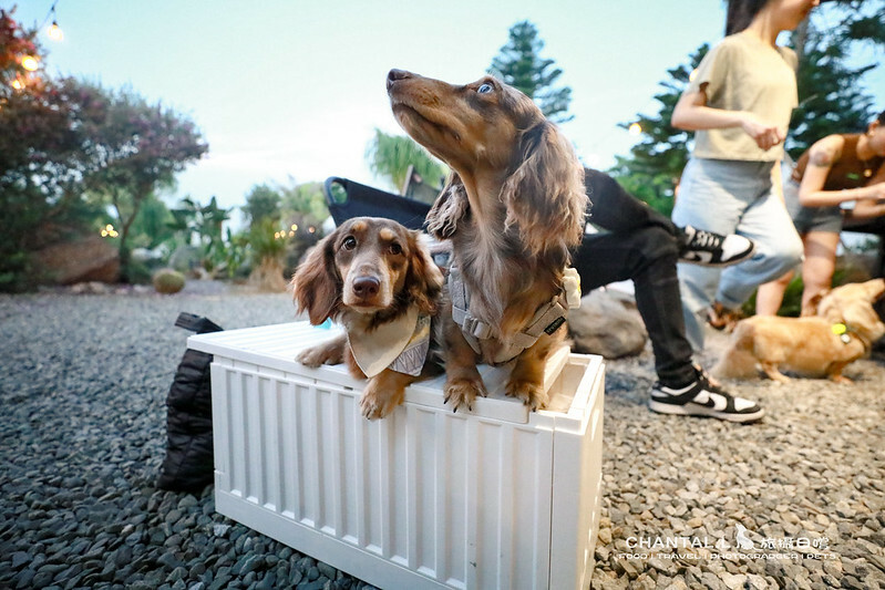 1J6A6176-2拷貝-2拷貝2 拷貝