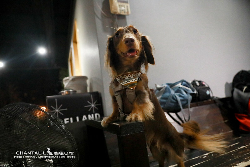 1J6A6558-2拷貝-2拷貝 拷貝