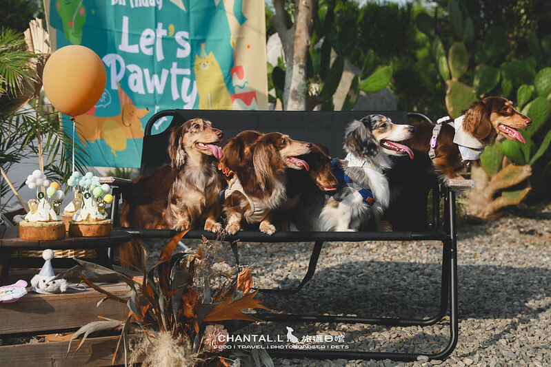 1J6A5814-2拷貝-2拷貝 拷貝