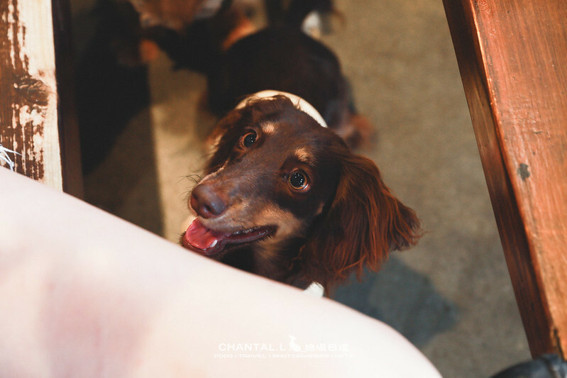 1J6A5877-2拷貝-2拷貝 拷貝