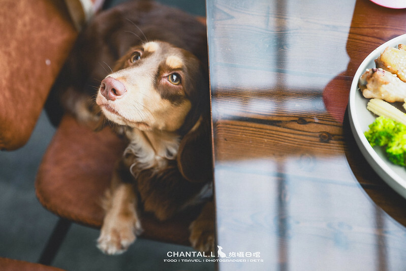 1J6A6986-2拷貝-2拷貝 拷貝