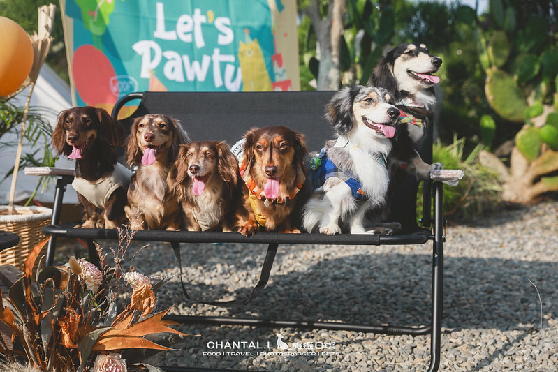 1J6A5754-2拷貝-2拷貝 拷貝