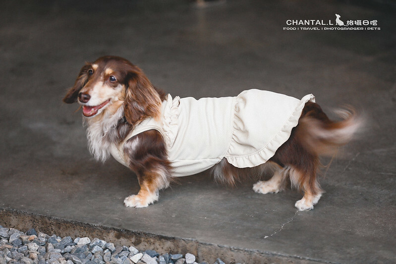 1J6A6043-2拷貝-2拷貝 拷貝