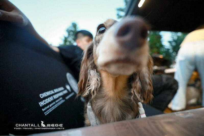 1J6A6158-2拷貝-2拷貝 拷貝