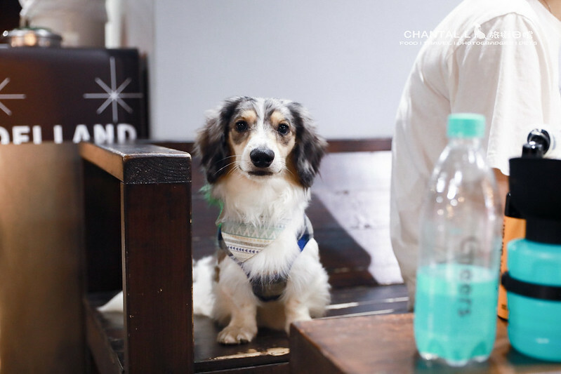 1J6A6728-2拷貝-2拷貝 拷貝