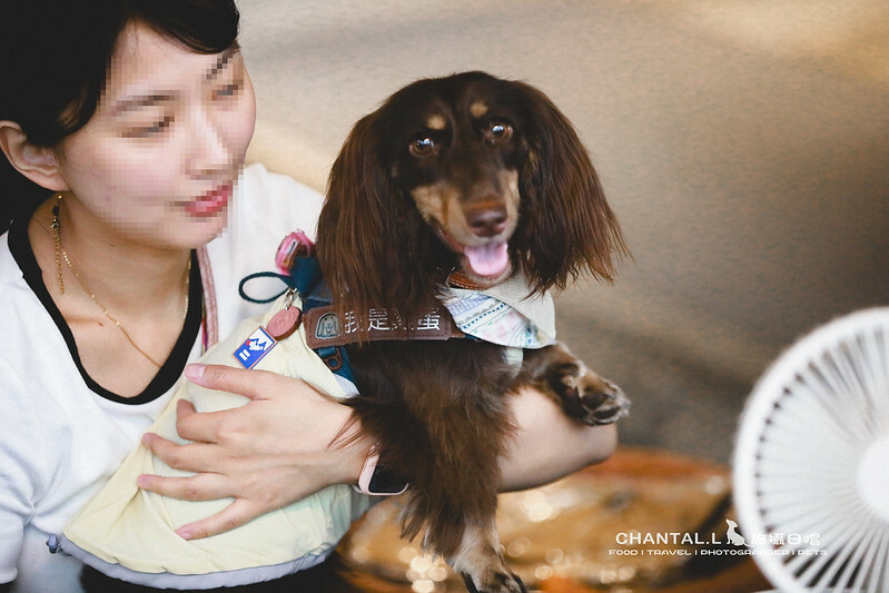 1J6A6100-2拷貝-2拷貝 拷貝