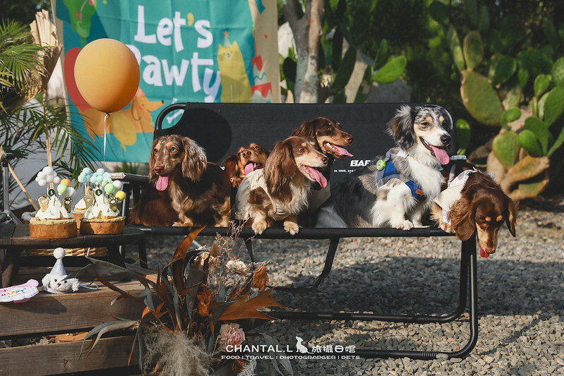 1J6A5810-2拷貝-2拷貝 拷貝