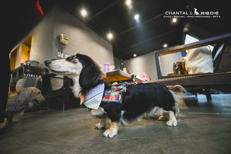 1J6A6170-2拷貝-2拷貝 拷貝