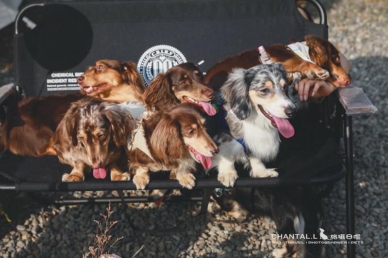 1J6A5796-2拷貝-2拷貝 拷貝