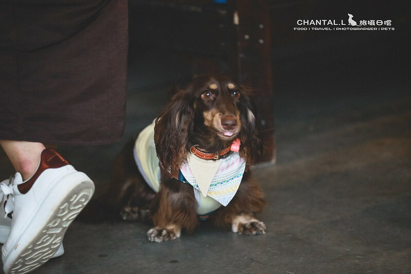 1J6A6061-2拷貝-2拷貝 拷貝