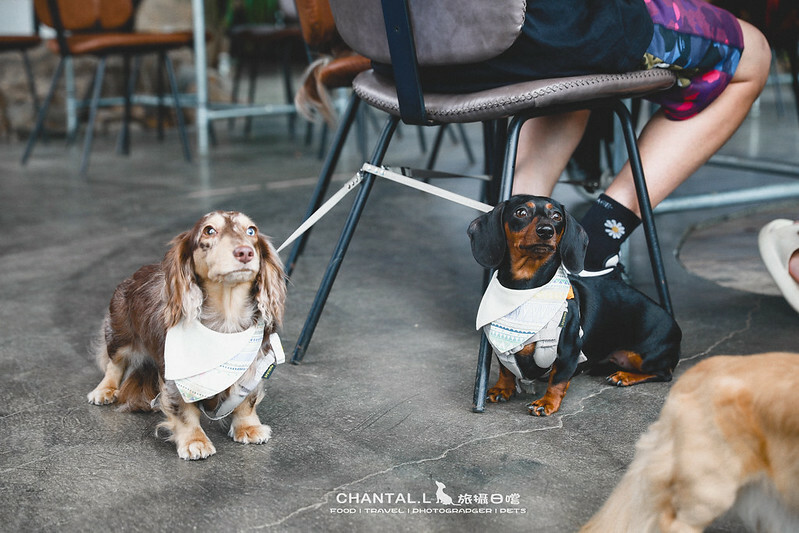 1J6A7002-2拷貝-2拷貝 拷貝